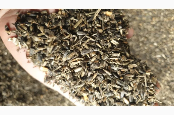 Продам отходи соняшника- фото № 1