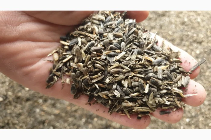 Продам отходи соняшника- фото № 2