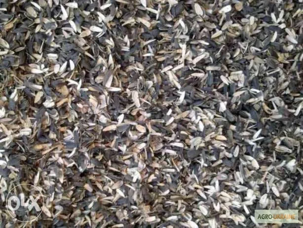 Куплю відходи соняшнику- фото № 1
