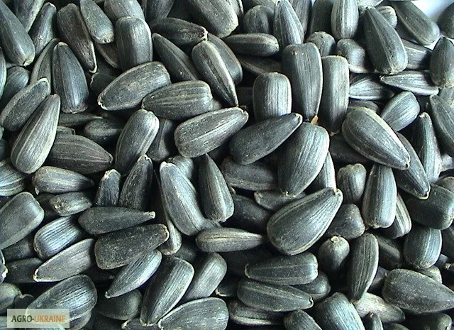 Куплю просроченный посевмат- фото № 1