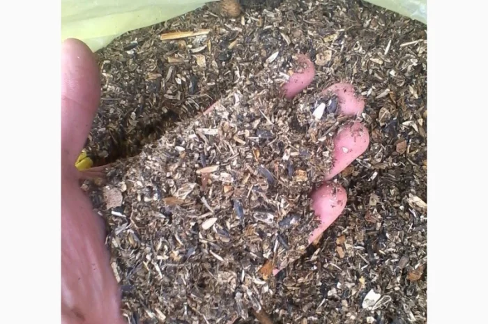 Куплю отходы подсолнуха- фото № 1