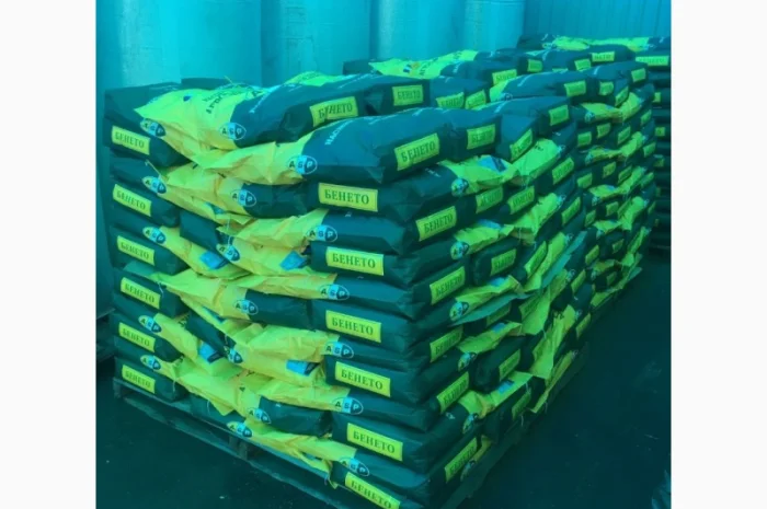 Семена подсолнечника Бенето F1 от Производителя- фото № 2