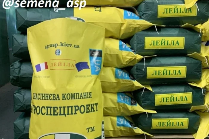 Семена подсолнечника Лейла F1 от Производителя- фото № 1