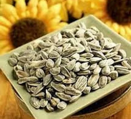 Оптом куплю семечку подсолнечника сорную Украина- фото № 1