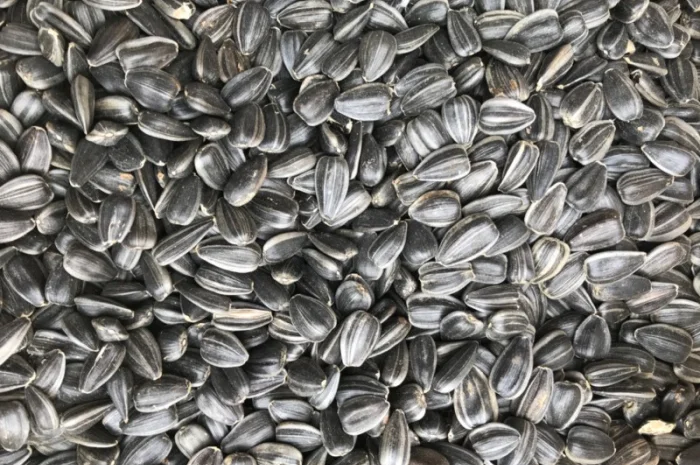 Закупаемо Семечку- фото № 1