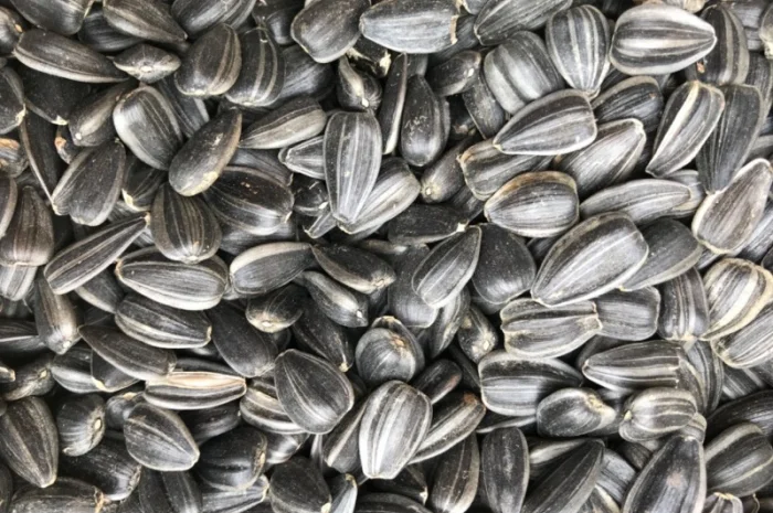 Куплю кондитерскую Семечку- фото № 1