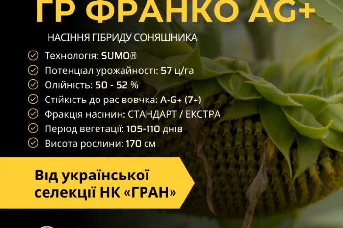 Насіння соняшника під гранстар гібрид ГР Франко (105-110дн) Ціна від 3300грн/п.о- фото № 1