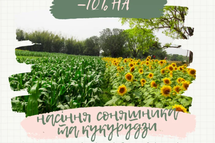 Тільки до кінця локдауну знижка на насіння соняшника 10%- фото № 1