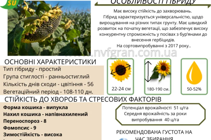 Тільки до кінця локдауну знижка на насіння соняшника 10%- фото № 10