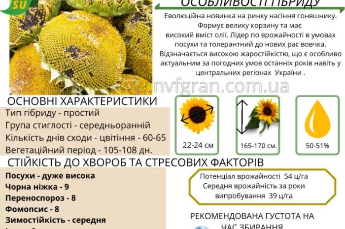 10% на посівний матеріал соняшника- фото № 2