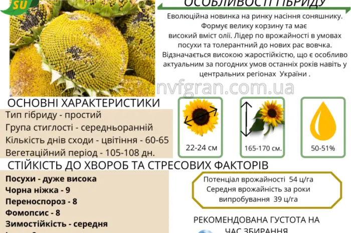 10% на посівний матеріал соняшника- фото № 2