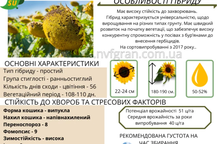 10% на посівний матеріал соняшника- фото № 4