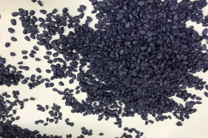 Пропоную посівний матеріал соняшника під Євро-лайтнінг- фото № 3