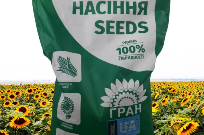 Пропоную посівний матеріал соняшника під Євро-лайтнінг- фото № 1