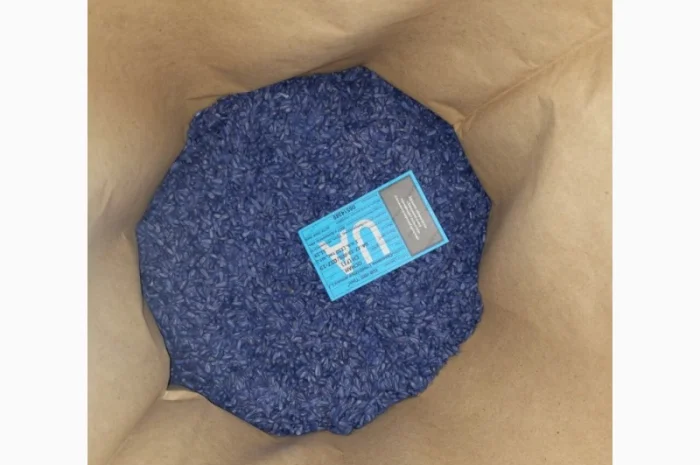 Продам насіння соняшника під Гранстар (50г/га)- фото № 2