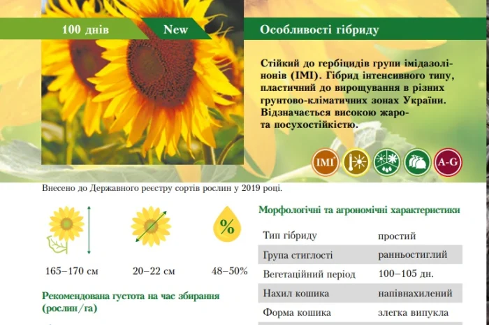 Насіння соняшника гібрид - Євро (clearfield) 100-105 днів- фото № 1
