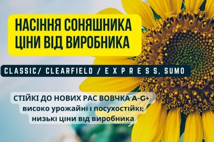 Новинка!!! Насіння Соняшника Гібрид - УРБАН OR7 (SU)- фото № 1