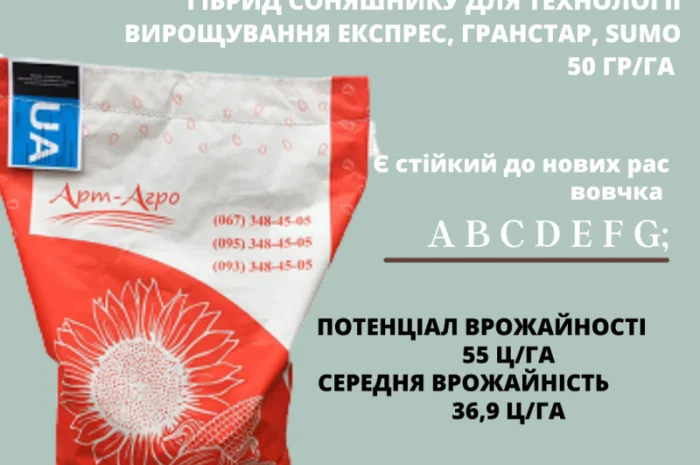 Високоурожайний гібрид соняшника "НЕЙМАР ПЛЮС OR7"- фото № 1