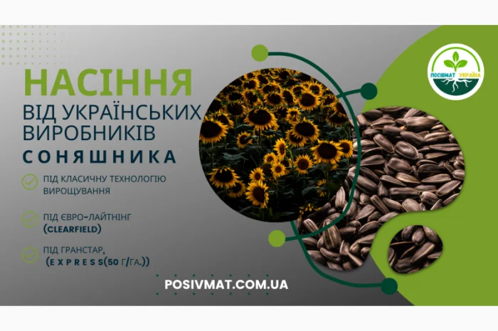 Урбан OR7+ (105-110 дн.) під гранстар 50 гр/га- фото № 1