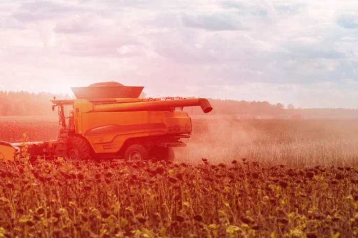 Урбан OR7+ (105-110 дн.) під гранстар 50 гр/га- фото № 7