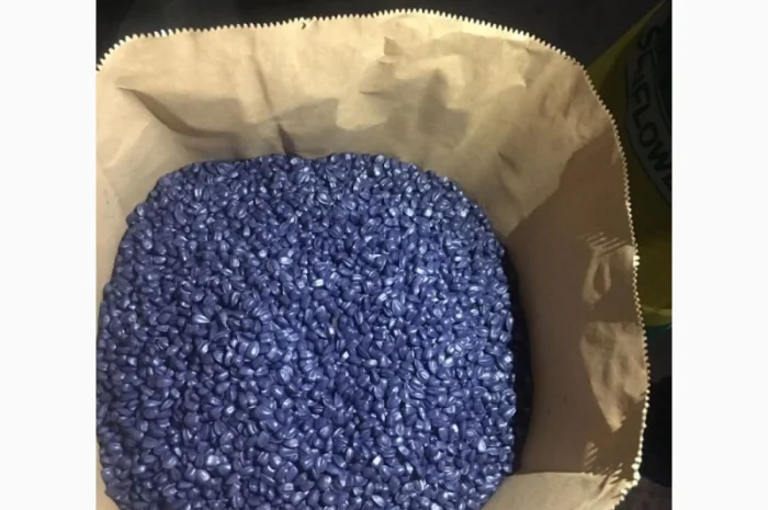 Карат- посівний матеріал бюджетного- фото № 4