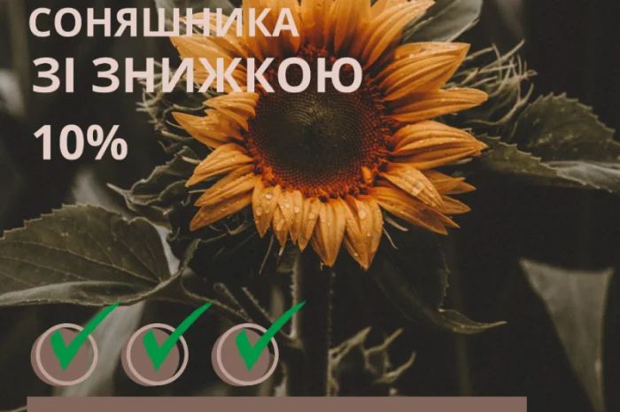 Посівний матеріал соняшника Гібрид ФеніксOR7- фото № 1