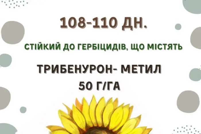Посівний матеріал соняшника. Гібрид КАРАТ (108-110дн.)- фото № 2