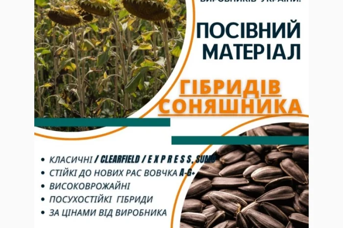 Посівний матеріал соняшника та кукурудзи- фото № 1