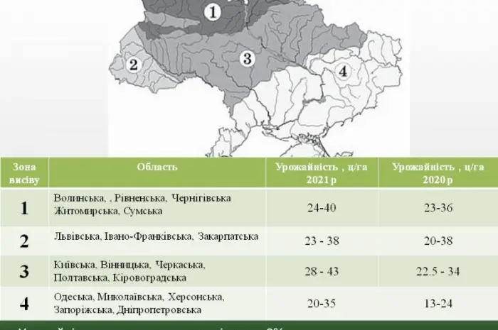 ОСМАН (115-118дн.) - Гібрид соняшника під євролайтнінг- фото № 3