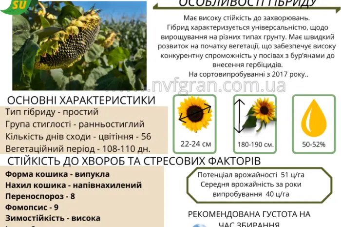 На посівну 2021 року насіння соняшника та кукурудзи за доступними цінами- фото № 11