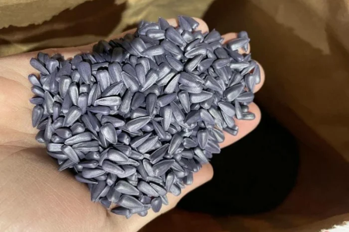 Насіння соняшника класичної технології Флоріан гібрид- фото № 1