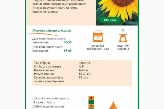 Насіння соняшника класичної технології Флоріан гібрид- фото № 3