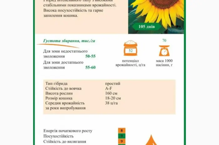 Насіння соняшника класичної технології Флоріан гібрид- фото № 3