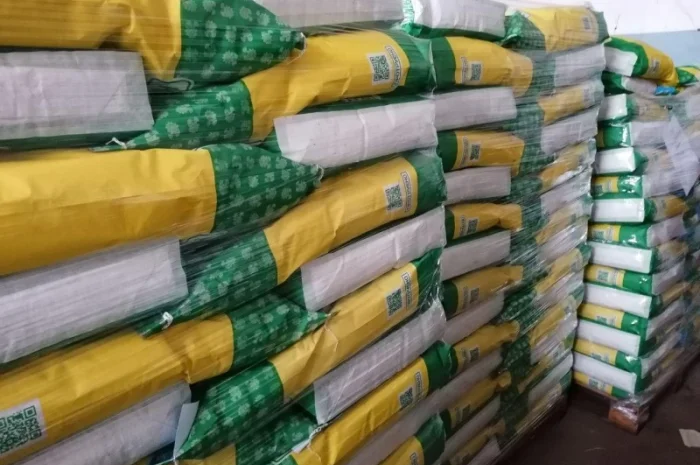 Насіння соняшника БАРСА. (SUMO)- фото № 4