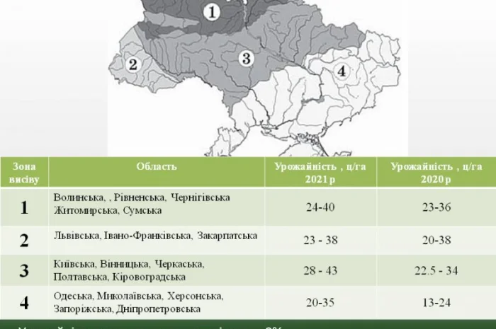 Насіння від виробника - ІМІ гібрид соняшника - Альварез- фото № 2