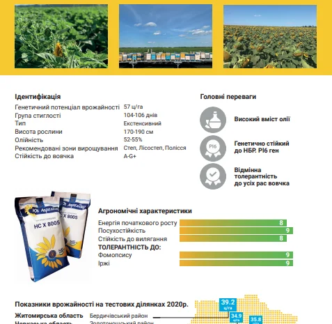 Гибрид подсолнечника НС Х 8005- фото № 2