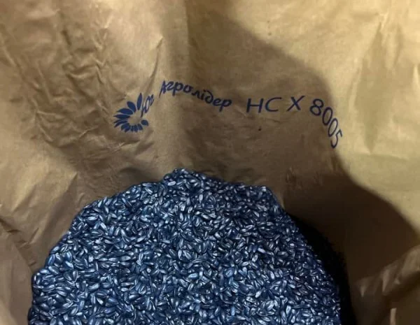 Гибрид подсолнечника НС Х 8005- фото № 4