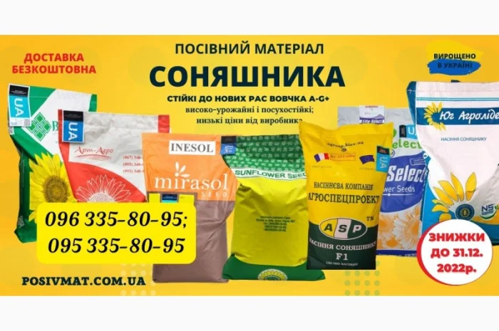 Насіння соняшника під гранстар 50 гр/га, посухостійкі, високоурожайні- фото № 1