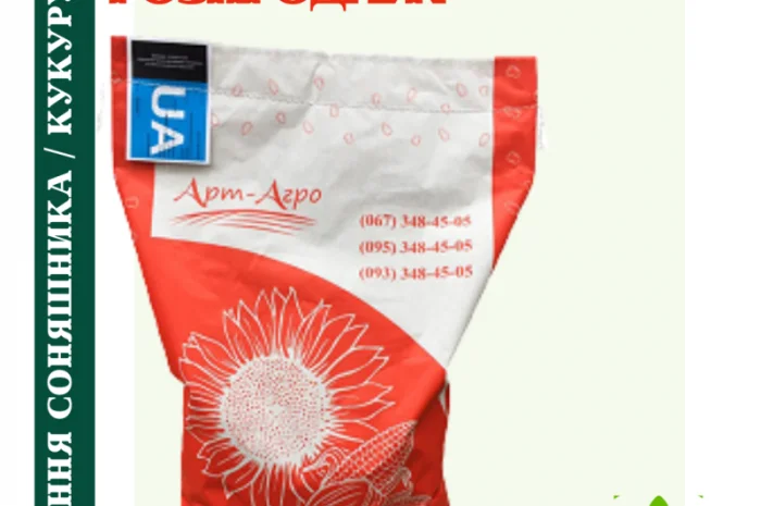 Насіння соняшника під гранстар 50 гр/га- фото № 1