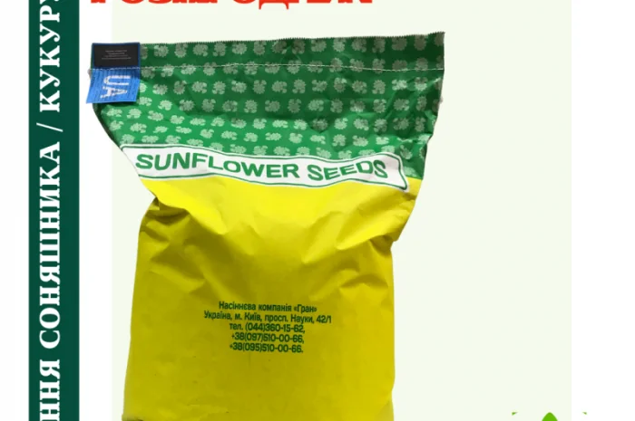 Насіння соняшника під гранстар 50 гр/га- фото № 4