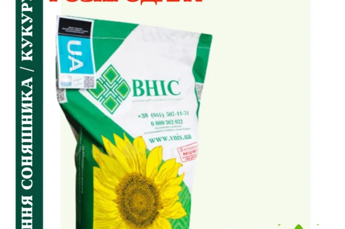 Насіння соняшника під гранстар 50 гр/га- фото № 5