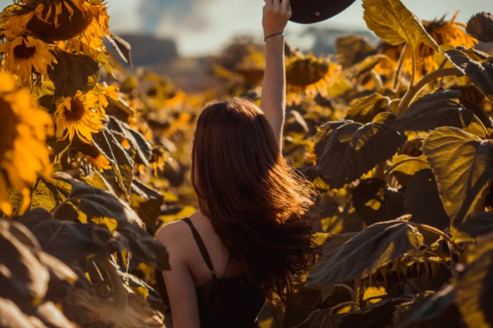 Соняшник під гранстар гібрид - УРБАН OR7(110дн)- фото № 10