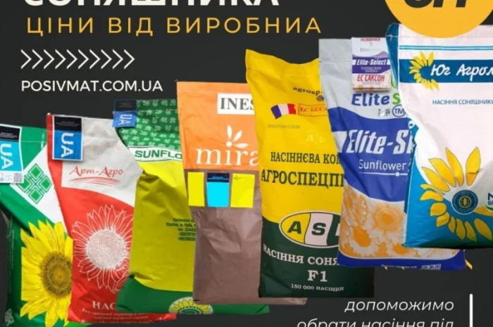 Насіння СОНЯШНИКА за цінами від виробника- фото № 1