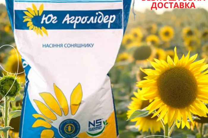 Насіння СОНЯШНИКА за цінами від виробника- фото № 4