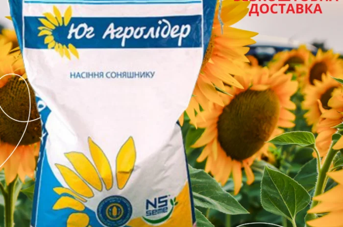 Насіння СОНЯШНИКА за цінами від виробника- фото № 5
