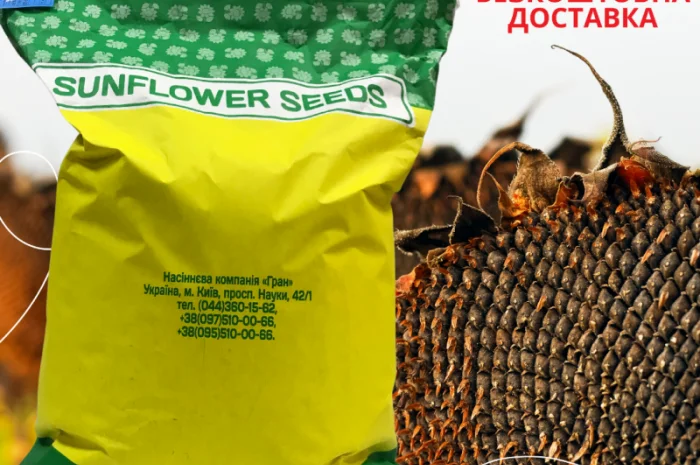 Насіння СОНЯШНИКА за цінами від виробника- фото № 6