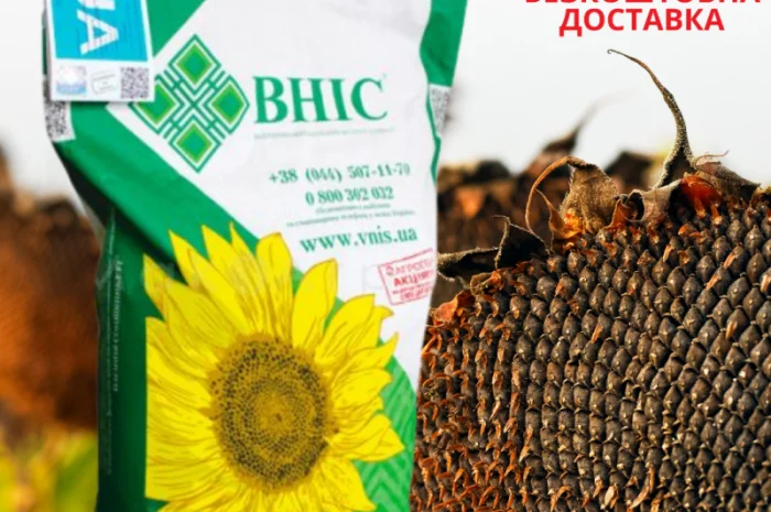 Насіння СОНЯШНИКА за цінами від виробника- фото № 7