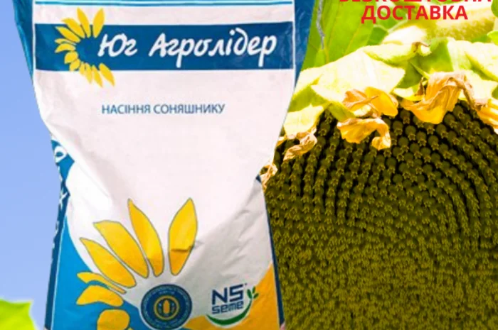 Насіння СОНЯШНИКА за цінами від виробника- фото № 8