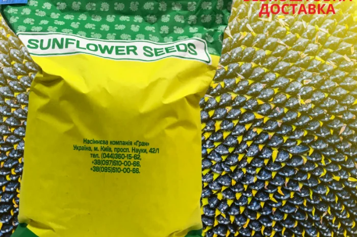 Насіння СОНЯШНИКА за цінами від виробника- фото № 9