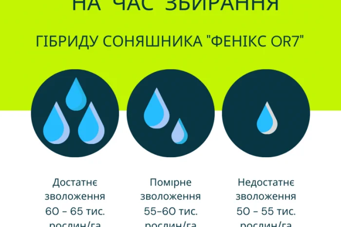 ФЕНІКС OR7- фото № 3